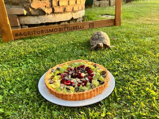 Agriturismo Bitturelli Ponti sul Mincio Buitenkant foto